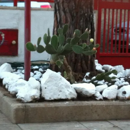 Palese Bed & Breakfast Bari