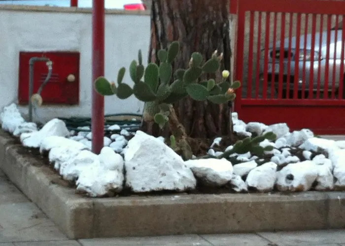 Palese Bed and Breakfast Μπάρι